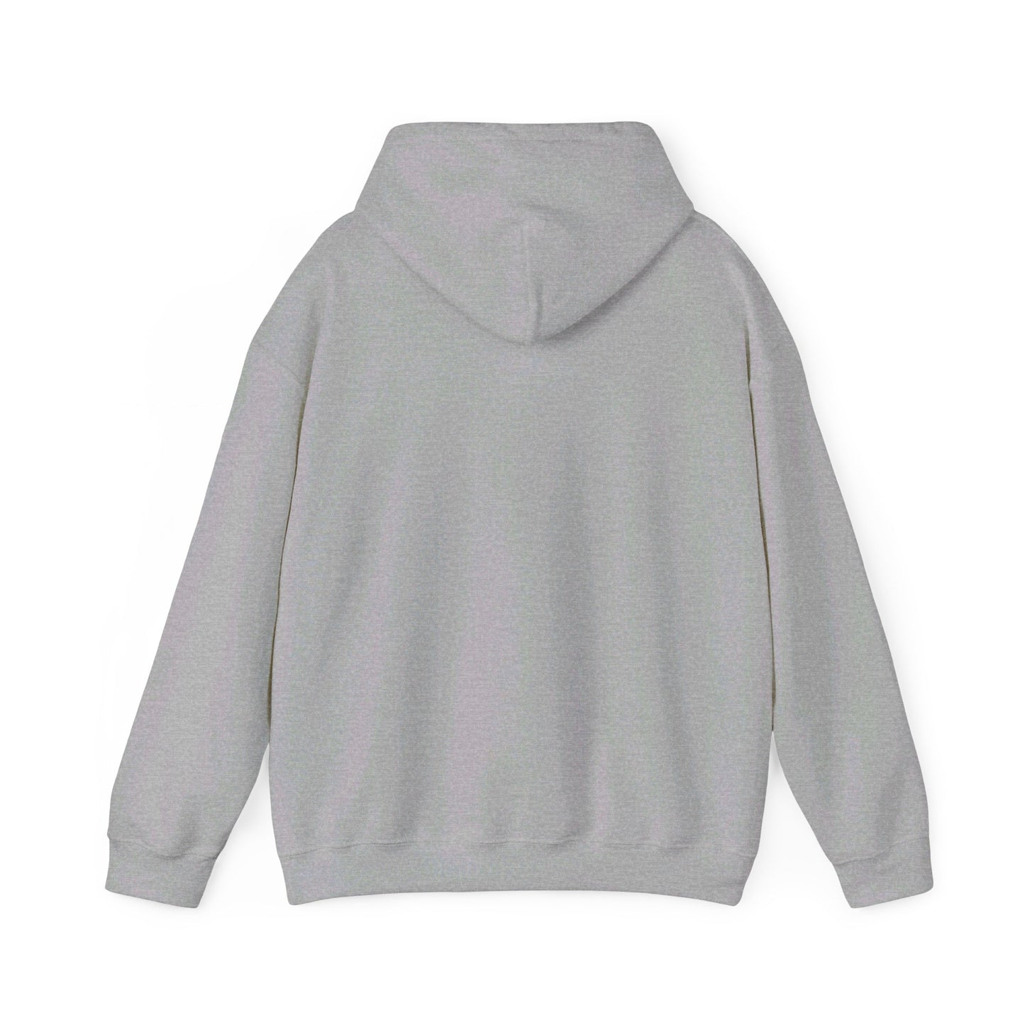 Salty Springs Baseball Hoodie