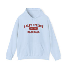 Salty Springs Baseball Hoodie