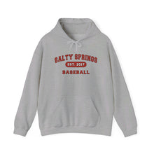 Salty Springs Baseball Hoodie