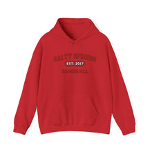 Salty Springs Baseball Hoodie