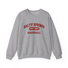 Salty Springs Baseball Sweatshirt