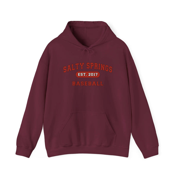 Salty Springs Baseball Hoodie