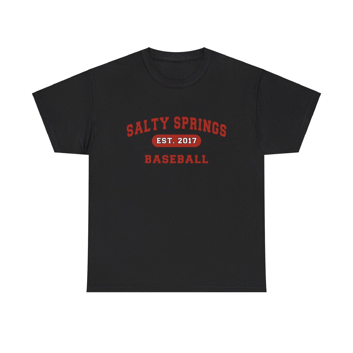 Adult Size Salty Springs Baseball T-Shirt