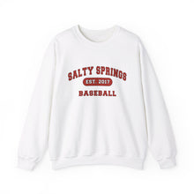 Salty Springs Baseball Sweatshirt