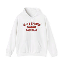 Salty Springs Baseball Hoodie