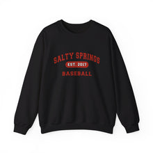 Salty Springs Baseball Sweatshirt